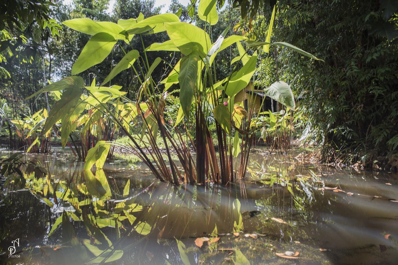 Garden Of Joy Otel Koh Chang Dış mekan fotoğraf