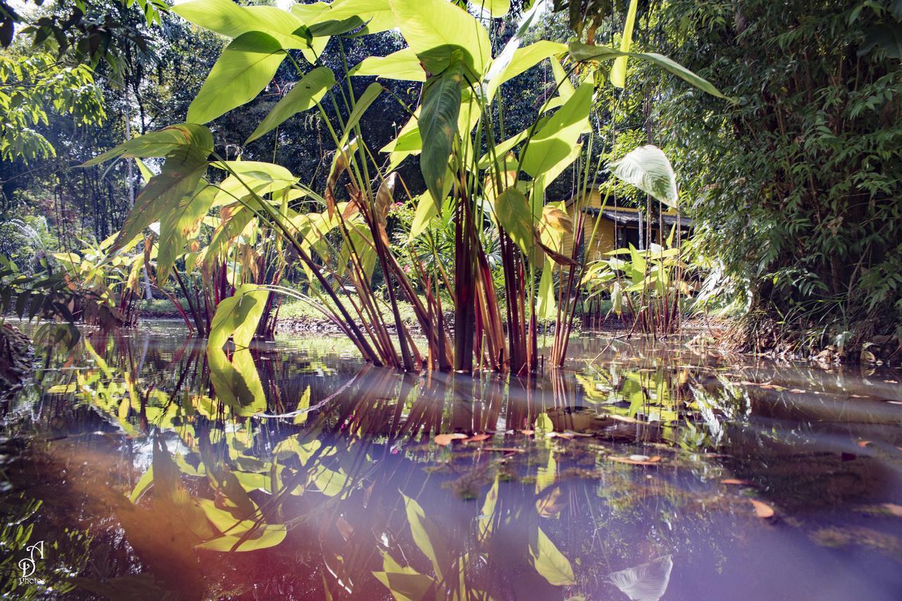 Garden Of Joy Otel Koh Chang Dış mekan fotoğraf